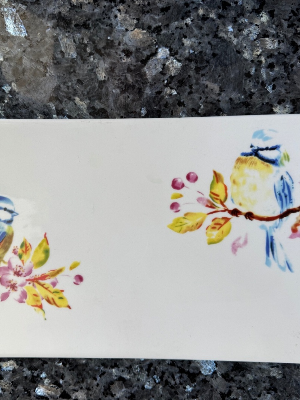 Sweet Pier 1 Imports Blue Bird Cherry Blossoms Appetizer Side Dish Plate
